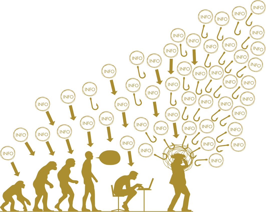 Human evolution overwhelmed by information — from clarity to confusion
